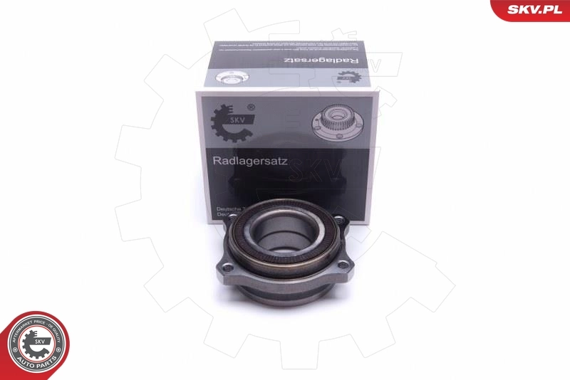 Wheel Bearing Kit